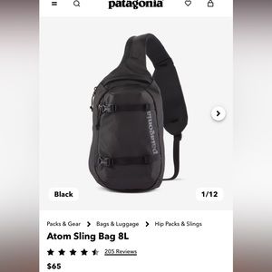 Patagonia Atom Sling 8L